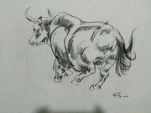 画家靳军速写一一牛