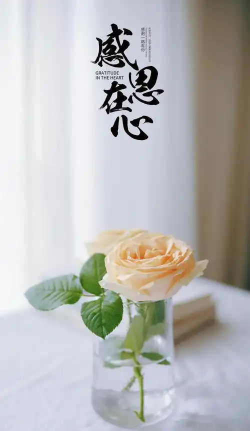 感恩节,感恩在心高清原图查看