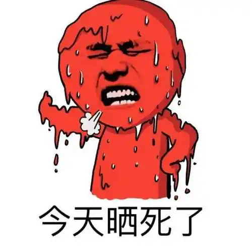 脑瓜被晒熟后,不成熟的小举动