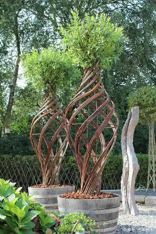 脑洞大开的造型树,哪个最有创意?哪个最有园林价值?你来评价!