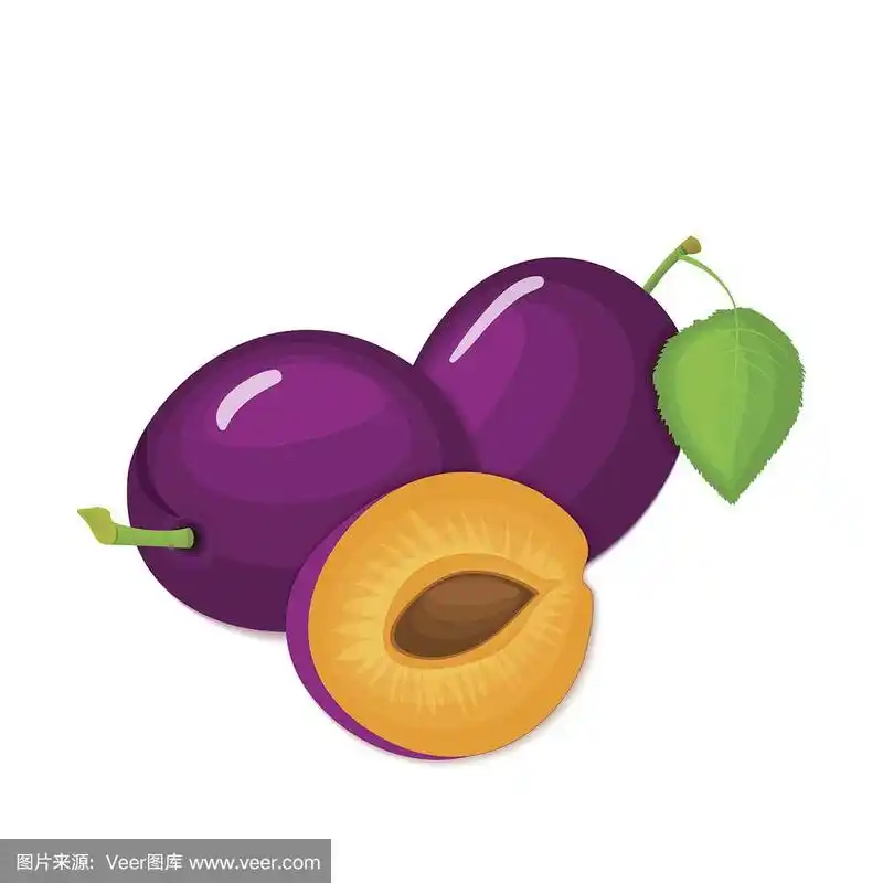 李子,矢量,水果,紫色,完整