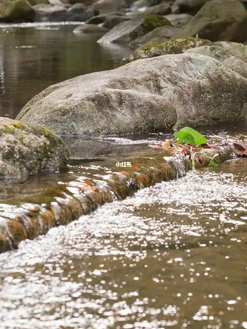 水流三伏天越看越凉快的图片