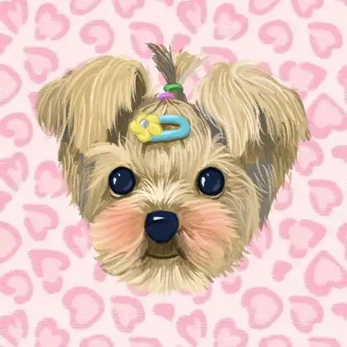 宠物头像约克夏头像画成这样可以吗