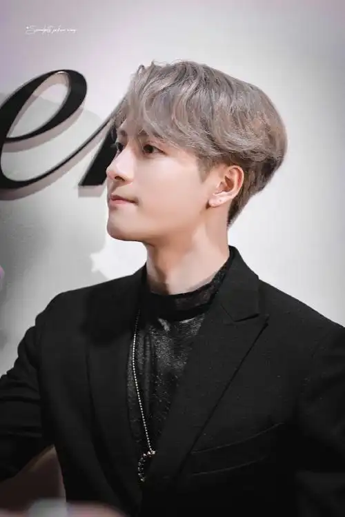 王嘉尔卡地亚全球品牌大使