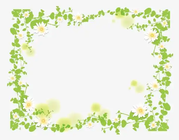 绿叶矢量装饰花边素材