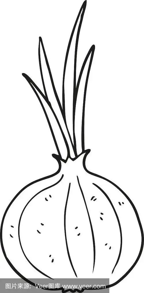 黑白卡通洋葱