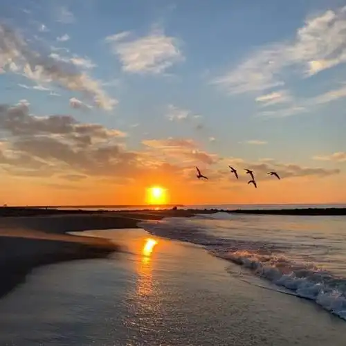 海滩日落海鸟飞_微信头像风景图片_扣扣居