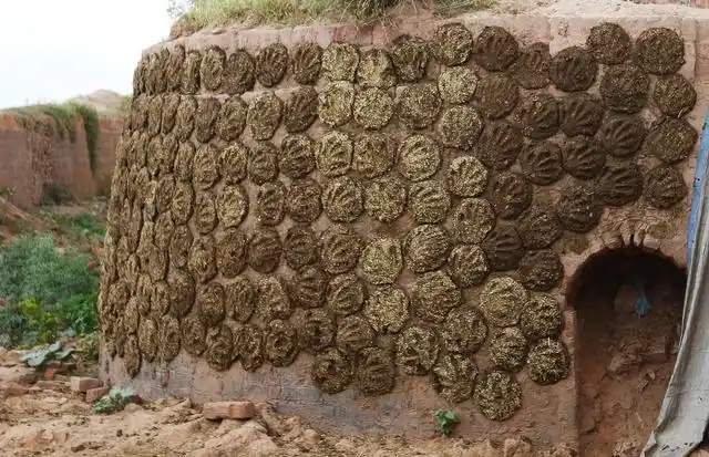 牛粪饼在印度网上卖疯了