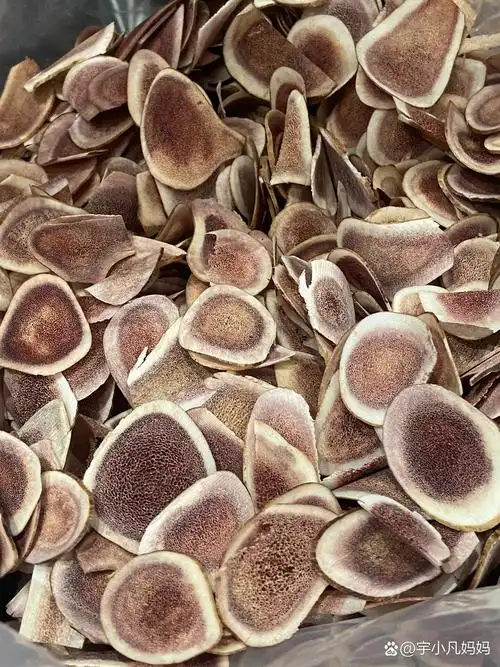 三种不同价格的鹿茸片给大家对比 三种不同价格的鹿茸片给大家对比