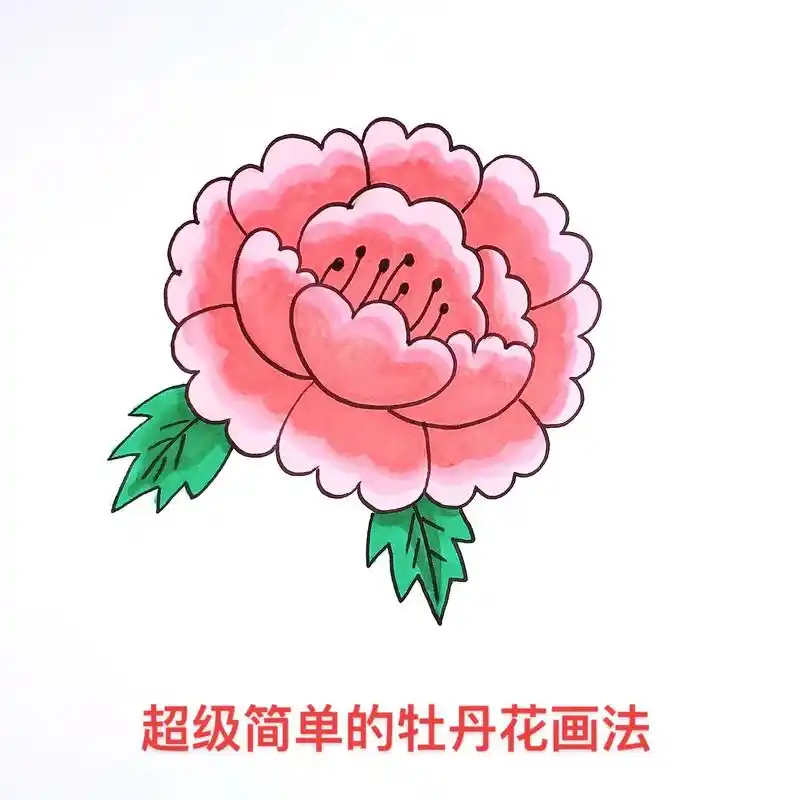超级简单的牡丹花画法