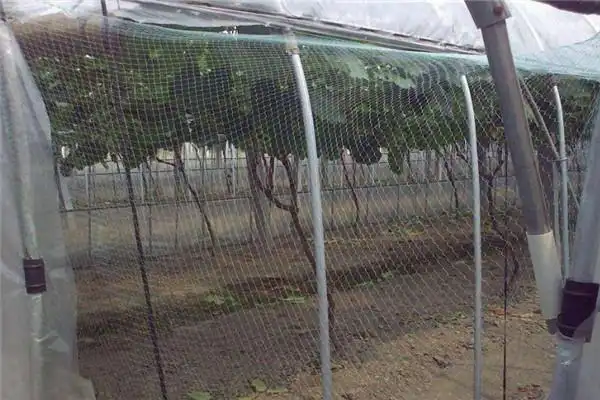 关于【防鸟网】:支架高度和密度选择 果树防鸟网安装时,首先要铺设