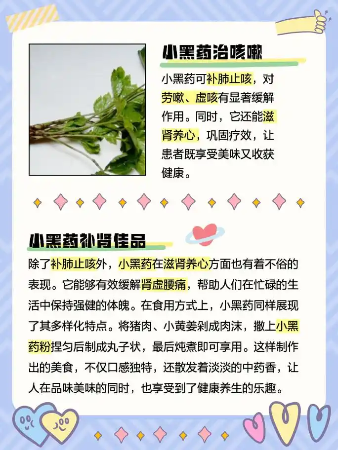 小黑药的功效与作用 家人们,今天我来跟大家聊聊一种非常特别的中草药