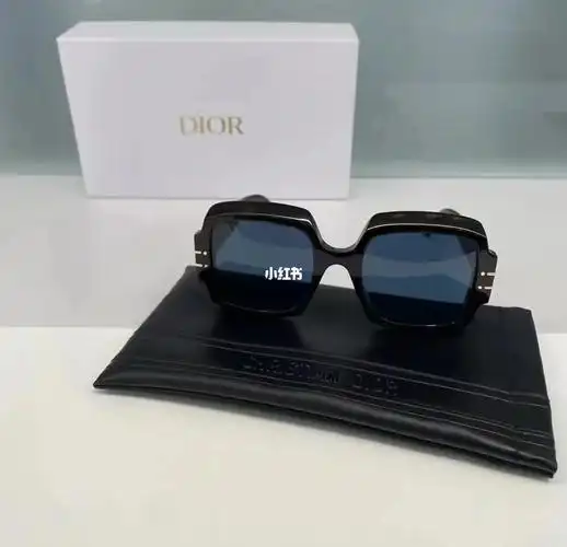 2xxx的dior vip限时折扣2022ss春夏走秀新款限定女款太阳镜