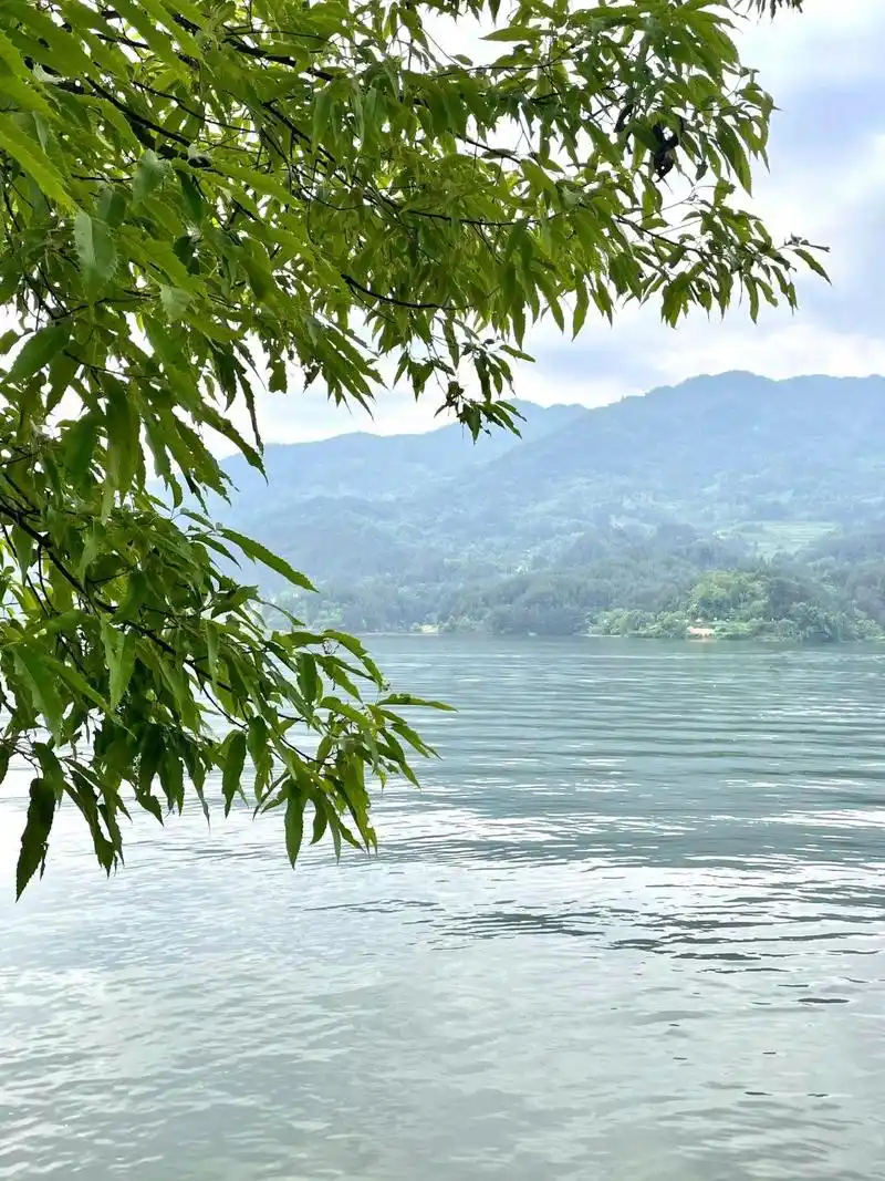 记录我的五一|汉中红寺湖游玩拍照旅行攻略 0515偶然在网上冲浪时