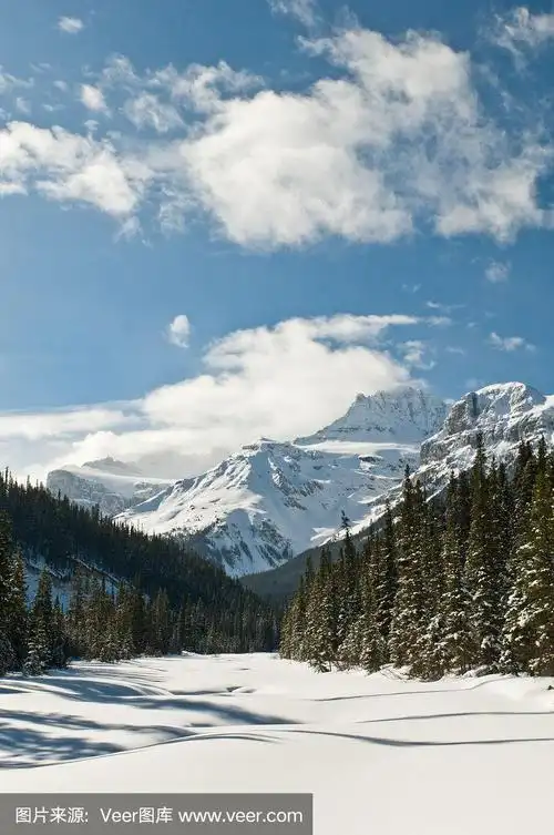 冬天下雪的景色