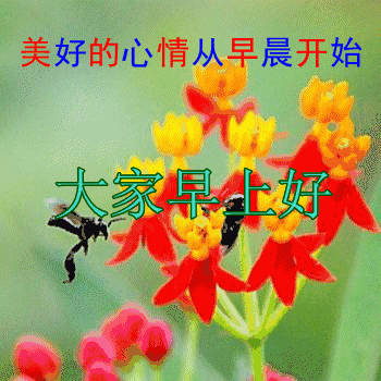 大家早上表情图片早上好的问候和关心语