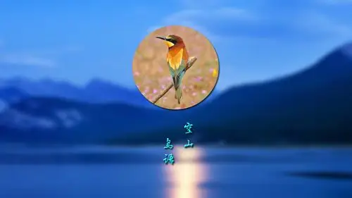 空山鸟语壁纸图片