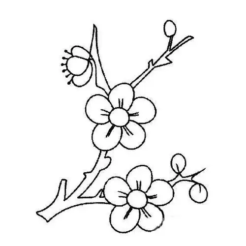 漂亮的梅花树枝简笔画图片