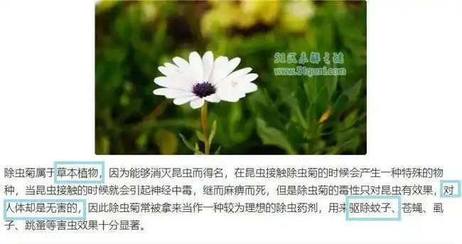 能裸睡的乳胶凉席!防螨,抑菌又驱蚊,堪比"天然空调"