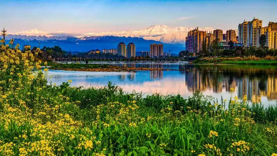 日本花道大师最新艺术装置"偶然的将来"在邛崃绽放