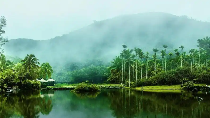 呀诺达-体验属于雨林的惊险刺激