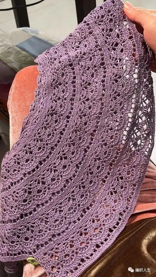 2钩针起208个辫子,按葱的育克钩完,落差比图解多钩2行,前后片各分160