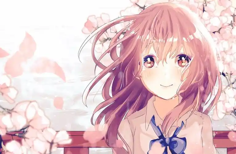 p站美图声之形西宫硝子壁纸特辑