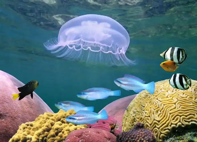 水生生物 (分子生物学)