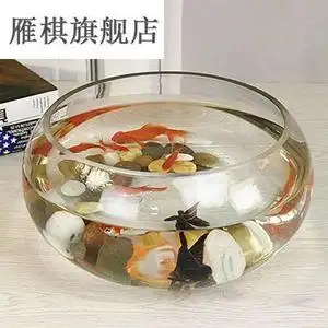 椭圆型鱼缸生态图片