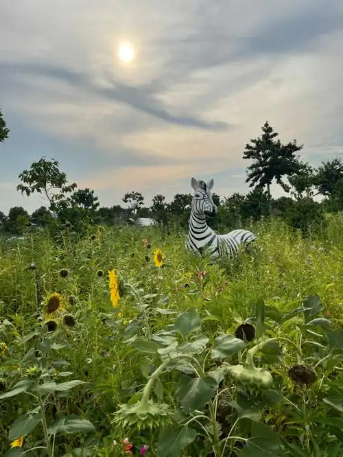 东莞古梅生态农业园亲子游