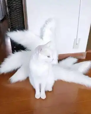 原创作品:九尾猫