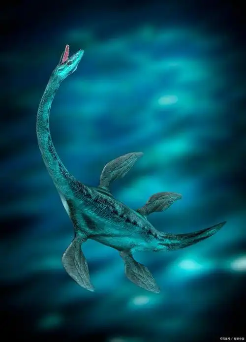 被误认为大海蛇的古代海洋动物龙王鲸