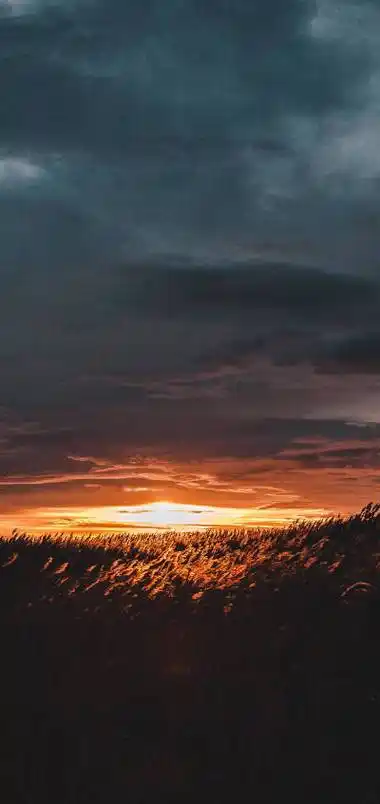 iphonex 手机全屏壁纸