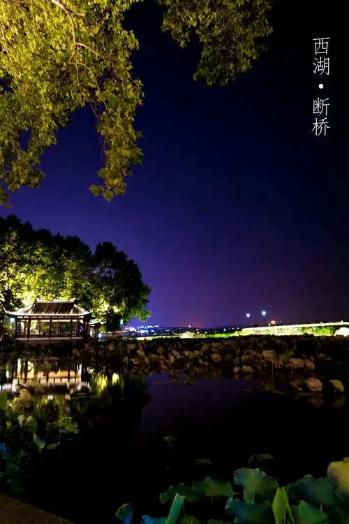 夜游西湖断桥,拍几张夜景