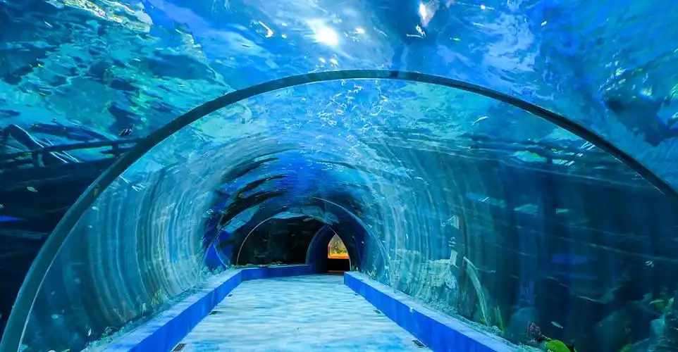 无锡融创海世界成人票