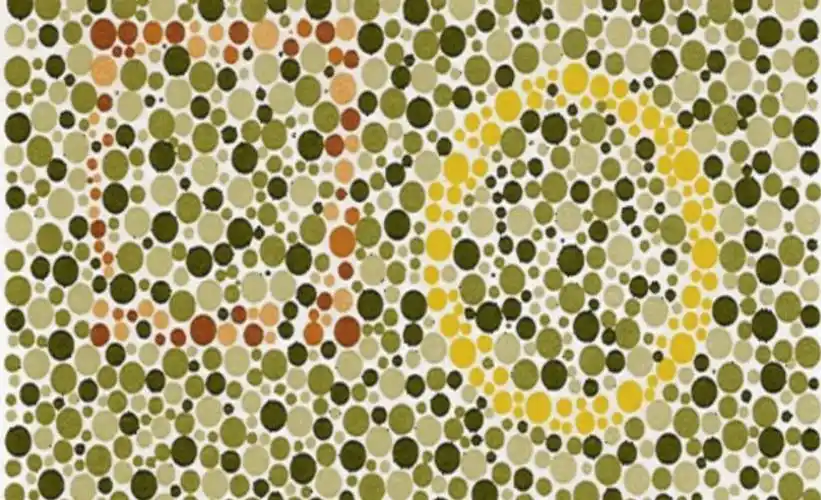 考驾照的6张色盲检测图,若看不清第5张上的数字,基本就是色盲