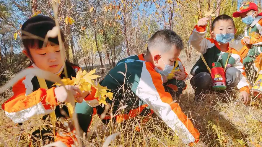 【亲近自然,感受秋天】锡林伟才礼仪幼儿园秋季幼儿户外活动