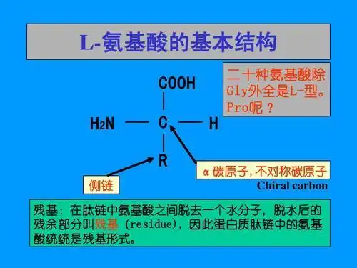 氨基酸的结构通式