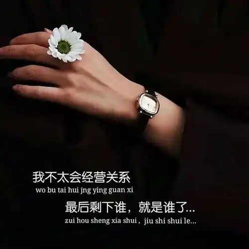 「丧文案」成年人的感情都是"易碎品"