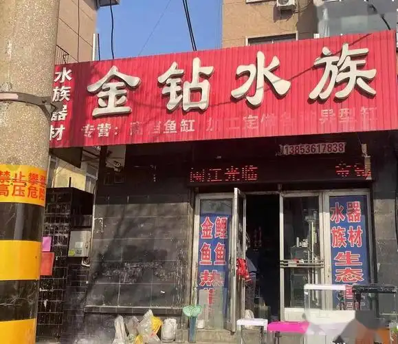 青州这个卖鱼的坑人,买的鱼都死了!