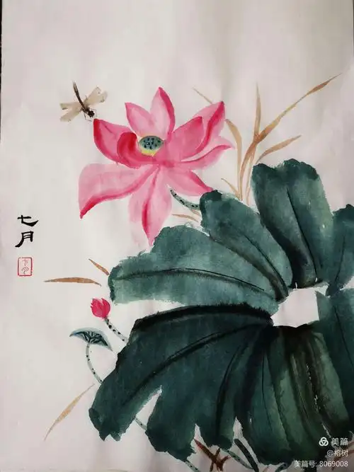 国画学习(荷花)