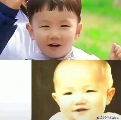 英达基因真强大!宋丹丹儿子巴图晒全家人幸福露营画面