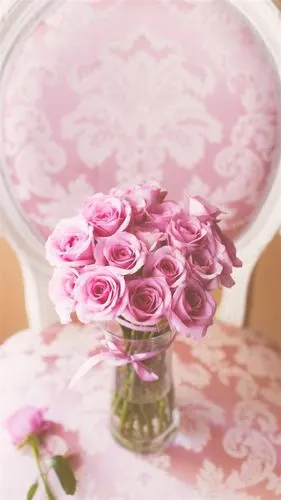 浪漫粉色玫瑰图片iphone壁纸 自然植物,唯美花卉,鲜花,粉色玫瑰