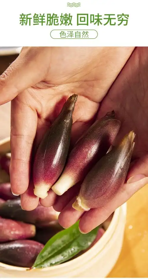 悠妃 阳荷姜 洋荷姜新鲜野生阳荷笋苗 洋姜蔬菜阳荷菜胡姜阳藿 250g