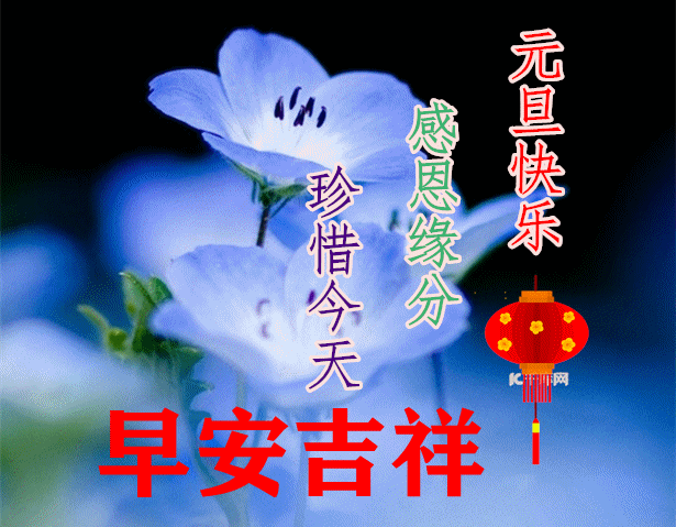 原创1月1日早上好预祝大家元旦快乐最新元旦问候祝福朋友动态暖心美句