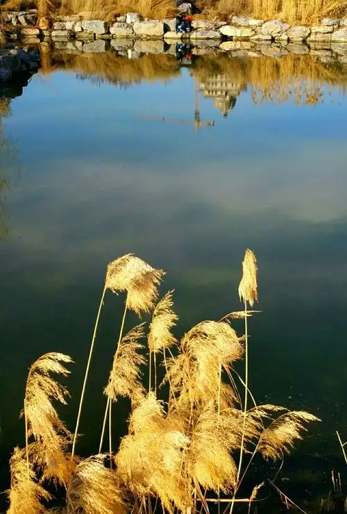 愿山河无恙,岁月静好.