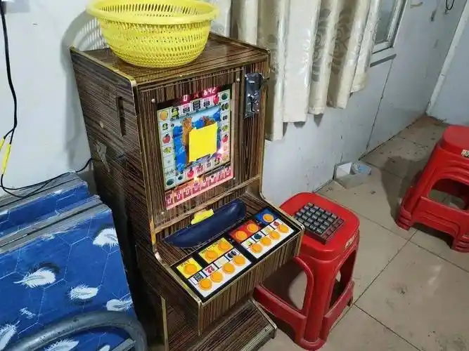 梅州一小店内,2人被传唤到公安局_丰顺县_老虎机_进行