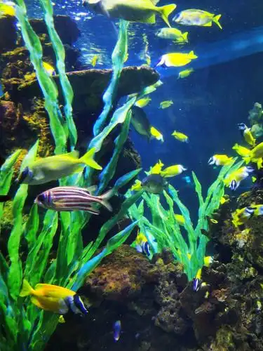 海底世界游玩乐 - 美篇