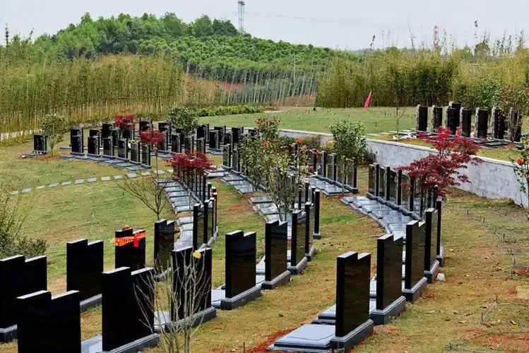 仙鹤湖湿地公园-陵园墓地-武汉人间净土殡葬礼仪服务有限公司