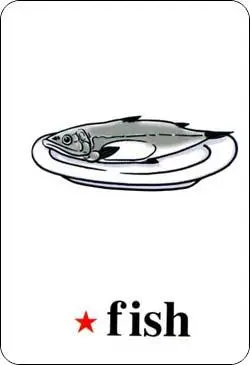 小学英语单词卡片图片---第五册(3)